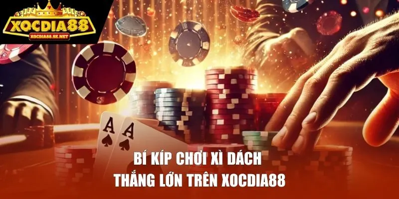 Bí kíp chơi xì dách thắng lớn trên Xocdia88