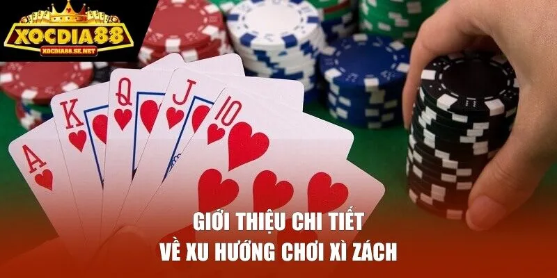 Giới thiệu chi tiết về xu hướng chơi Xì Zách