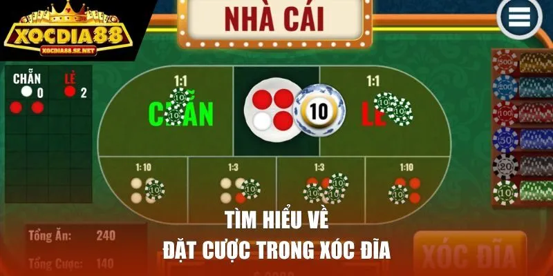 Tìm hiểu về đặt cược trong xóc đĩa